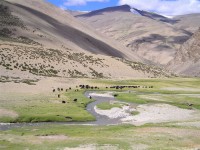 /album/ladack-inde-1/a061-07-ao%c3%bbt-2007-depart-pour-gyamabarma-par-col-horlam-konka-la-et-kyamayuri7-jpg/